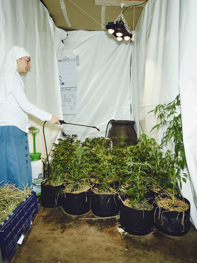 Sisters of the Valley: The Marijuana Growing Nuns