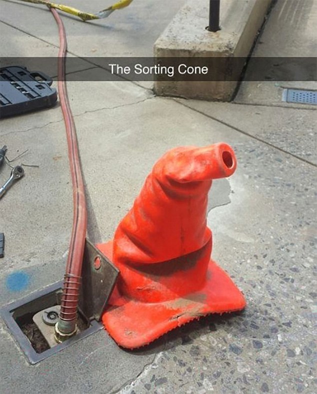 yer a hazard harry - The Sorting Cone