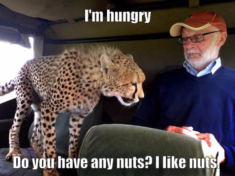 Do you have any nuts?