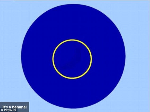 Can You Spot What's Inside The Dot?