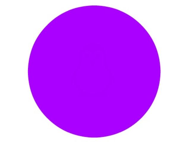 Can You Spot What's Inside The Dot?