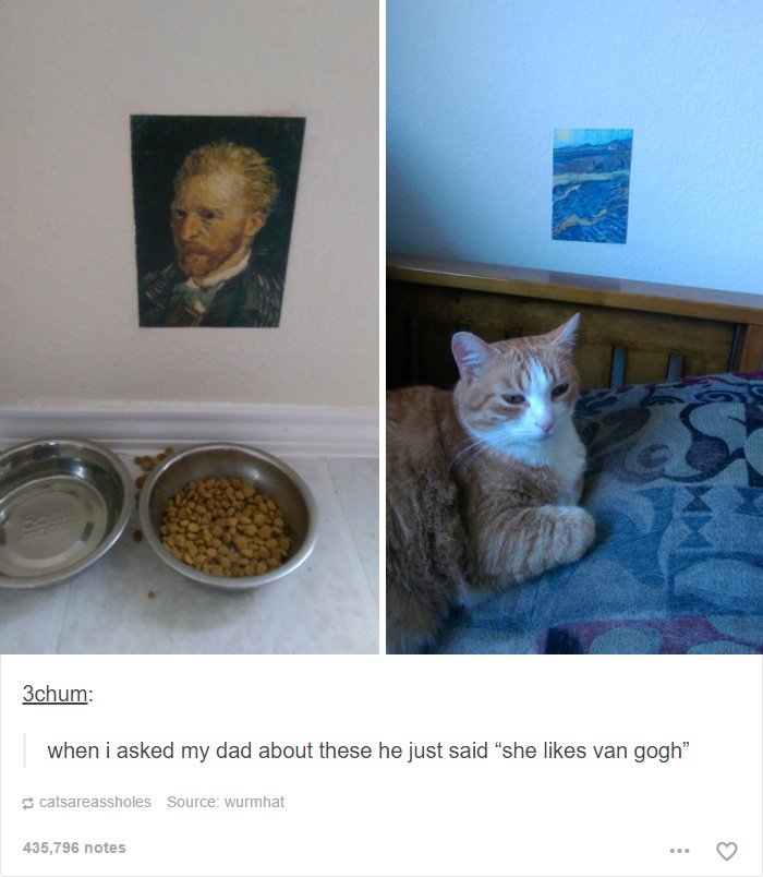 memes - cat likes van gogh - 3chum when i asked my dad about these he just said "she van gogh" catsareassholes Source wurmhat 435,796 notes