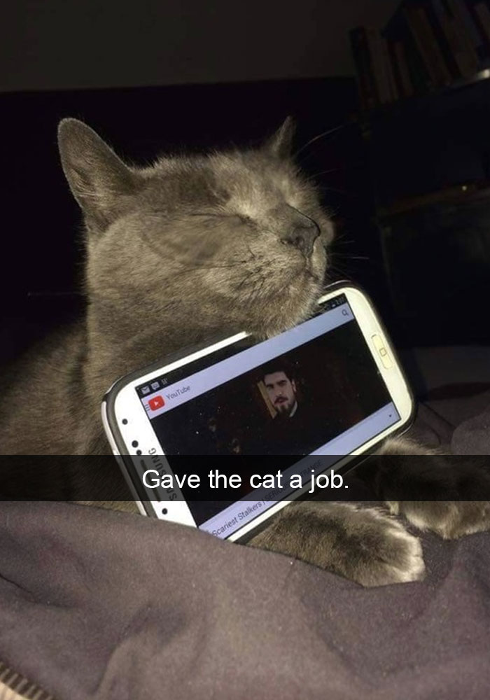 funny snapchat cat - YouTube Gave the cat a job. Scariest Stalkers