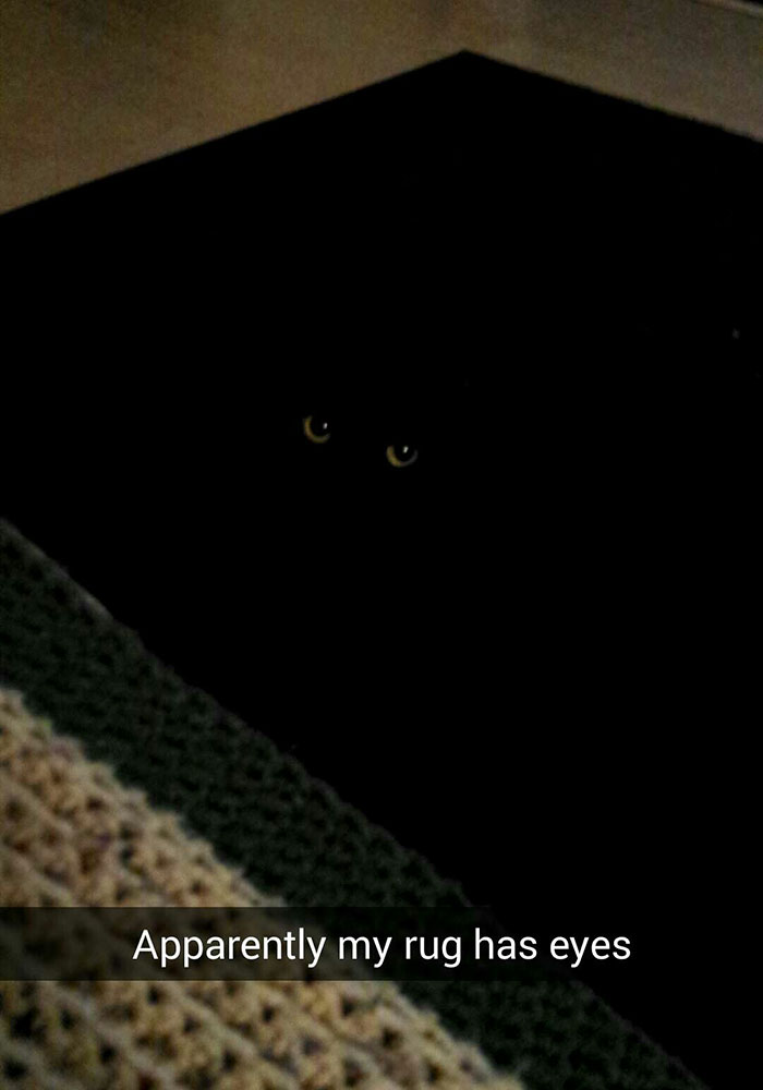 black cat rug - Apparently my rug has eyes