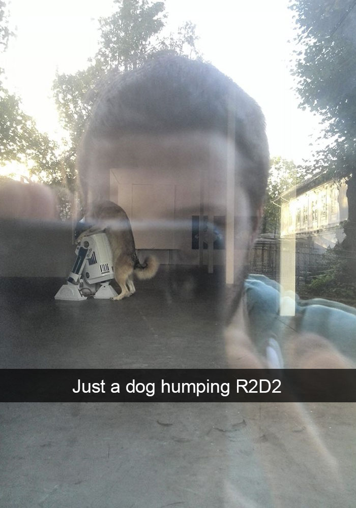 dog humping r2d2 - Just a dog humping R2D2