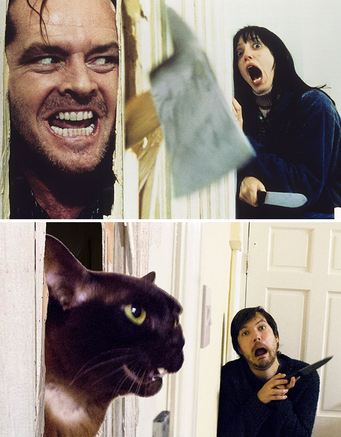This Guy Recreates Famous Movie Scenes With His Cat