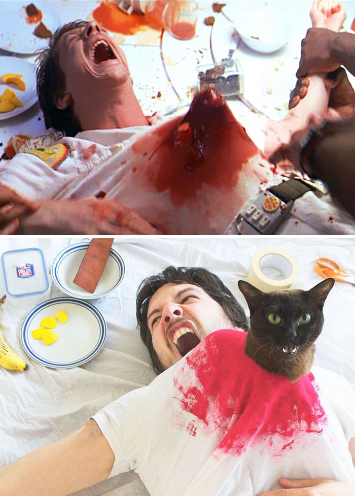 This Guy Recreates Famous Movie Scenes With His Cat