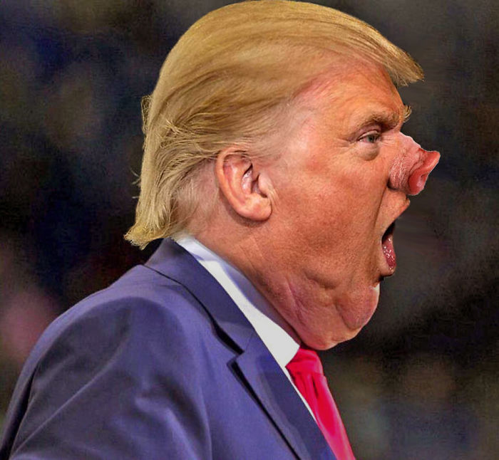 This Picture Of Trumps Double Chin Sparked An Epic Photoshop Battle