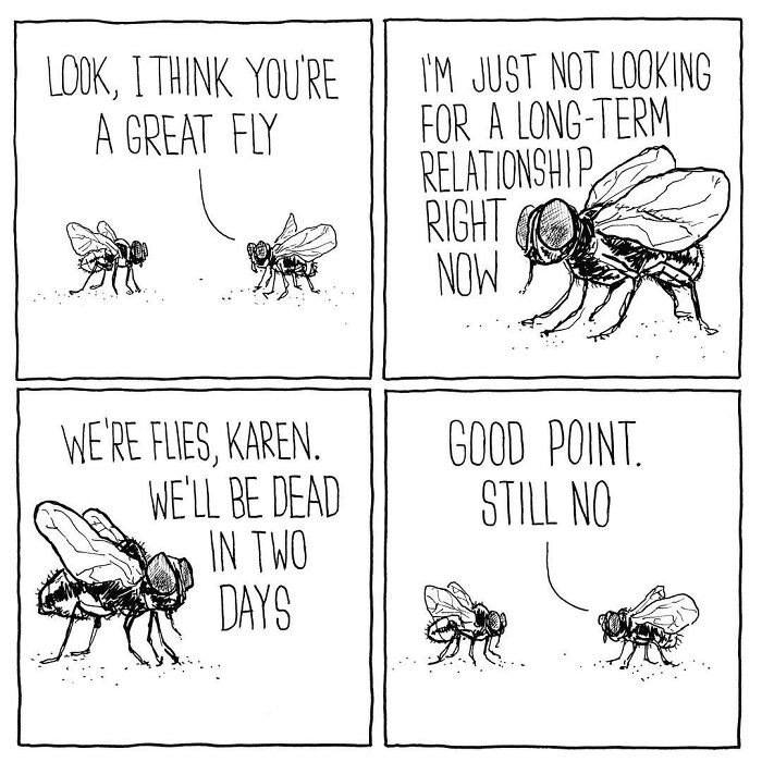 sad comics - Look, I Think You'Re A Great Fly I'M Just Not Looking For A LongTerm Relationship Right Now Ol J . . 2 .2 . We'Re Flies, Karen. Good Point. Still No Ah We'Ll Be Dead In Two Days