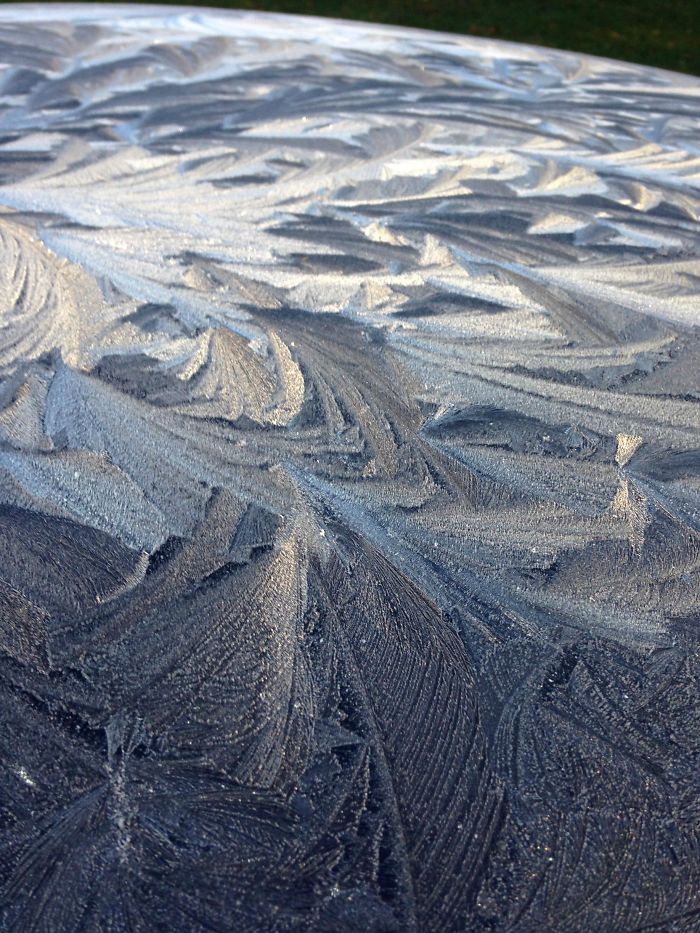 frost patterns on cars