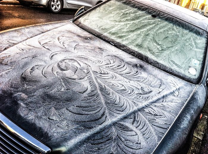 frost car