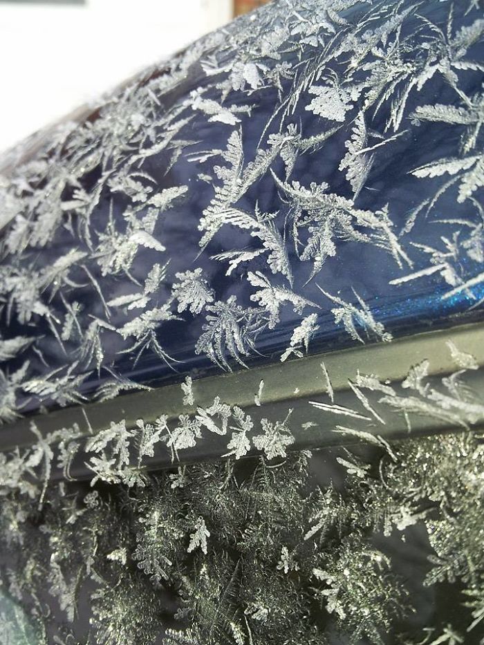 frost pattern on cars