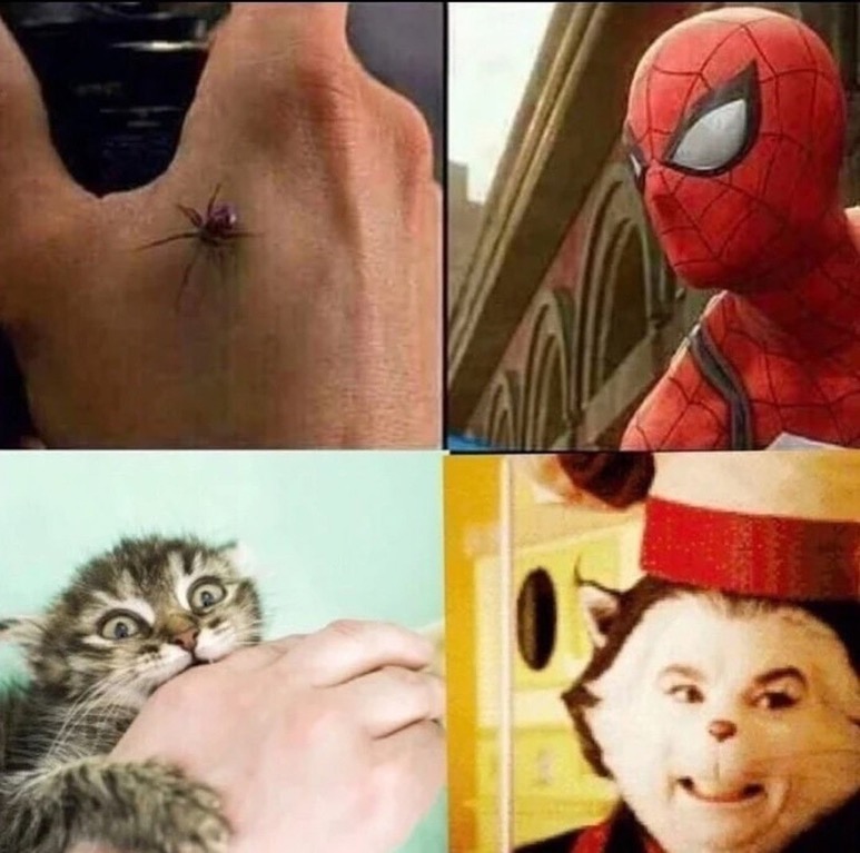 meme - spider bite spider man meme