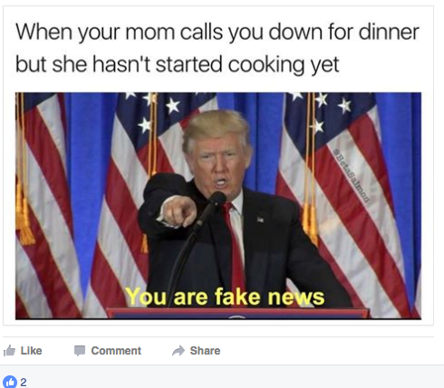 meme - mom fake news - When your mom calls you down for dinner but she hasn't started cooking yet You are fake news Comment 2