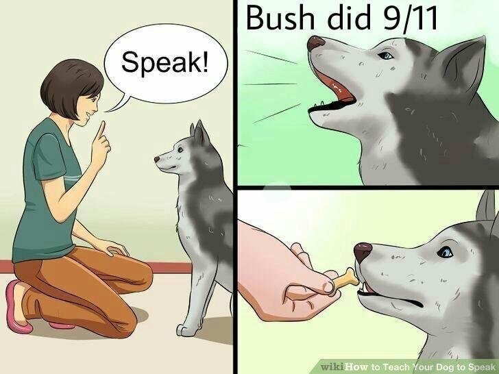 Dank meme cartoon of someone getting their dog to speak and he yells out BUSH DID 911 and gets a treat.