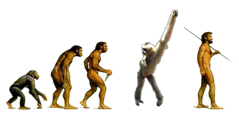 monkey evolution dancing next ebaumsworld