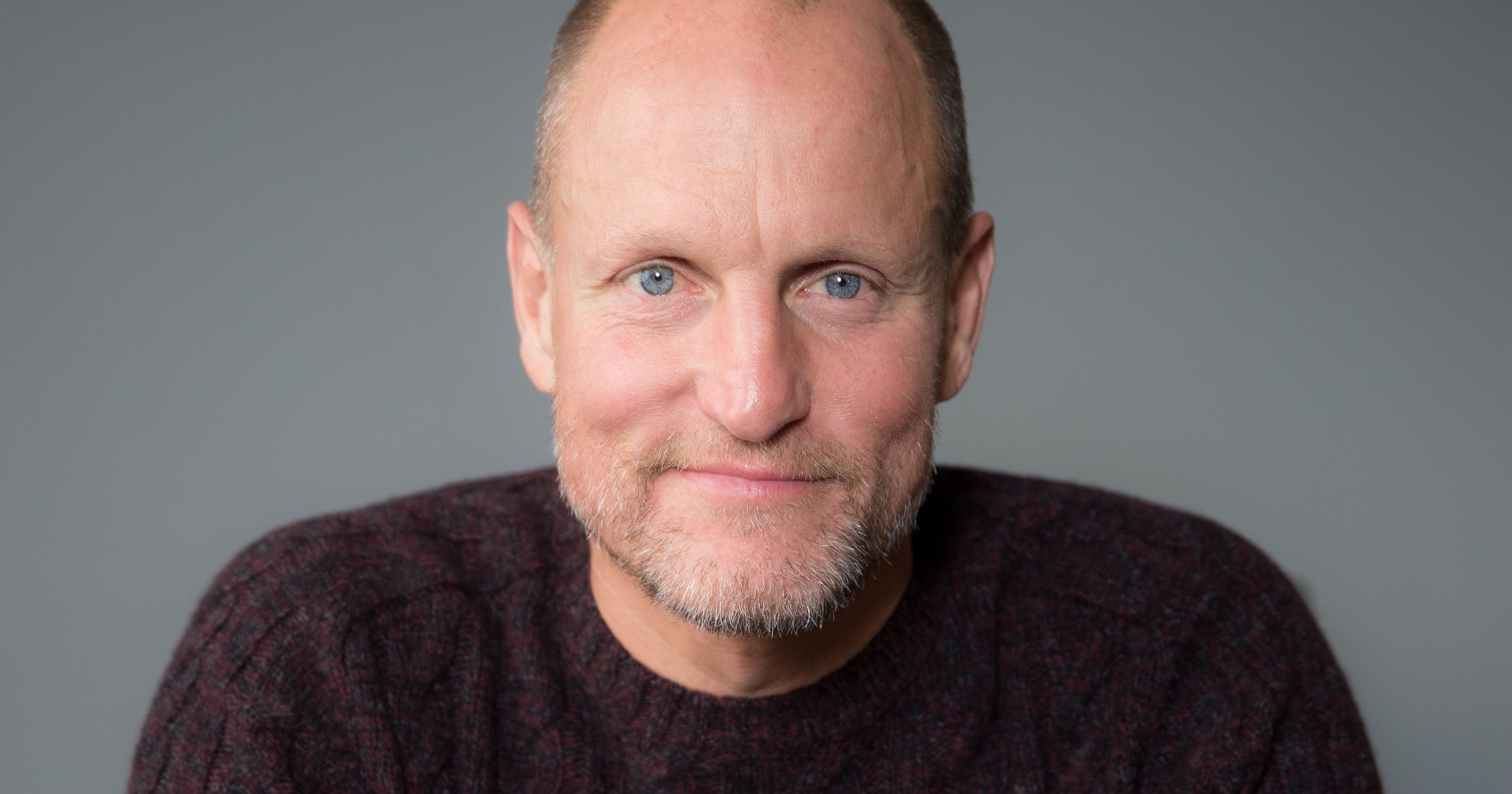 Woody Harrelson - Was arrested in 1982 while dancing in the streets like a madman, the only problem was that he resisted the officers, which increased his sentenced. He was arrested again in 1996 for growing hemp plants in his home. 
