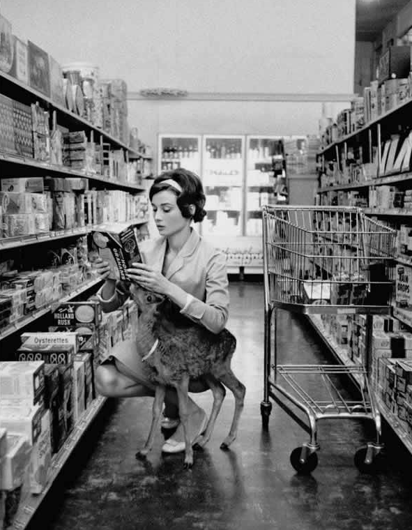 Audrey Hepburn grocery shopping with “Ip” her pet deer - 1958 
