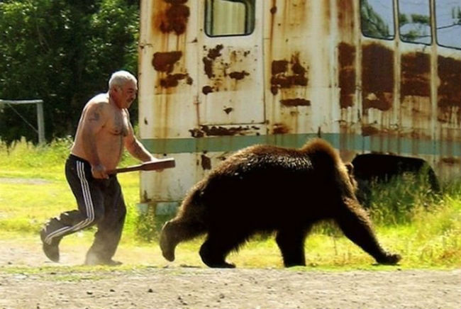 wtf russia chasing a bear