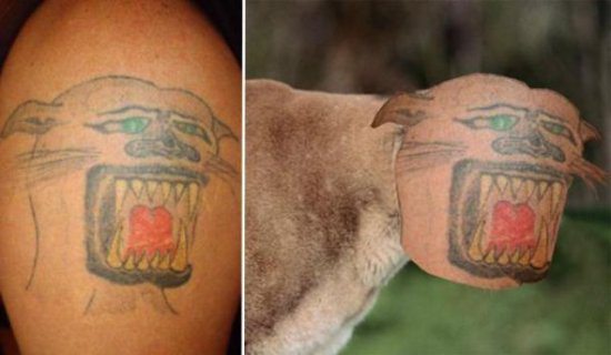 29 Pictures Of The Worst Tattoos Ever