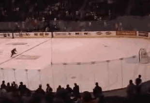 gifs - hockey player crashes into the wall