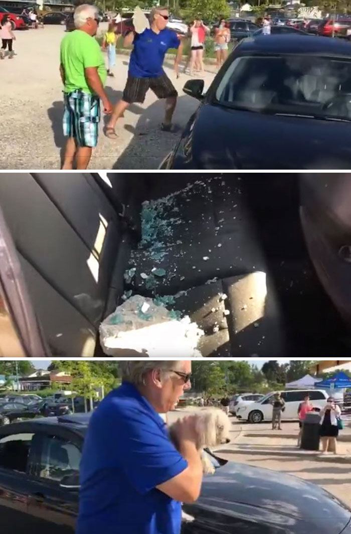 man saving dog from car