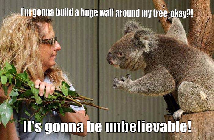 Koala J. Trump is calling for an immediate ban on bitches stealing leaves from his tree until we can figure out what the hell is going on.