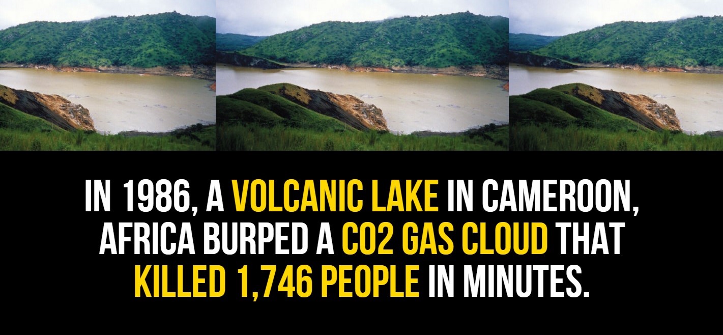 20 Incredibly Weird Facts