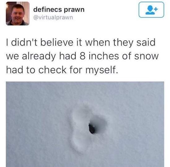 fun things to do with your junk - penis snow measurement - definecs prawn I didn't believe it when they said we already had 8 inches of snow had to check for myself.