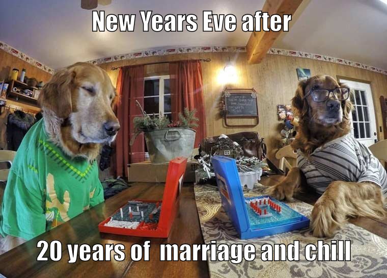 Dog meme about marriage