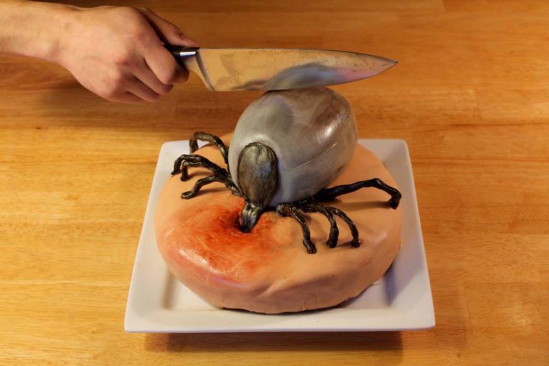 The Incredibly Realistic Cakes