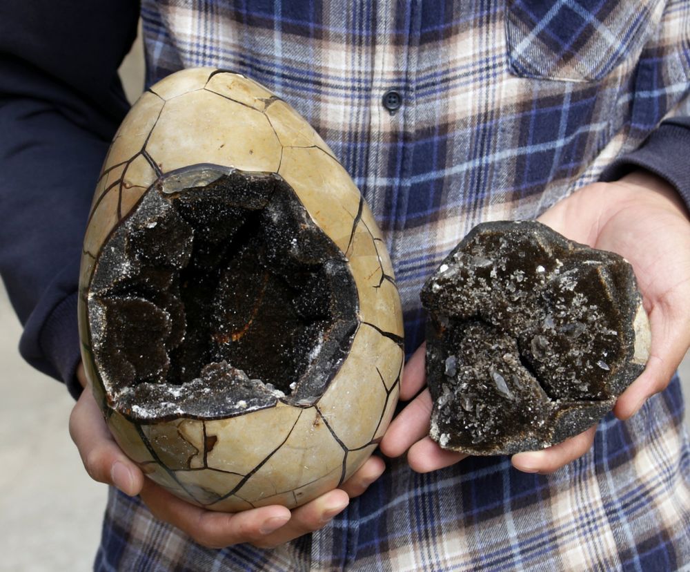 Inside a septarian nodule