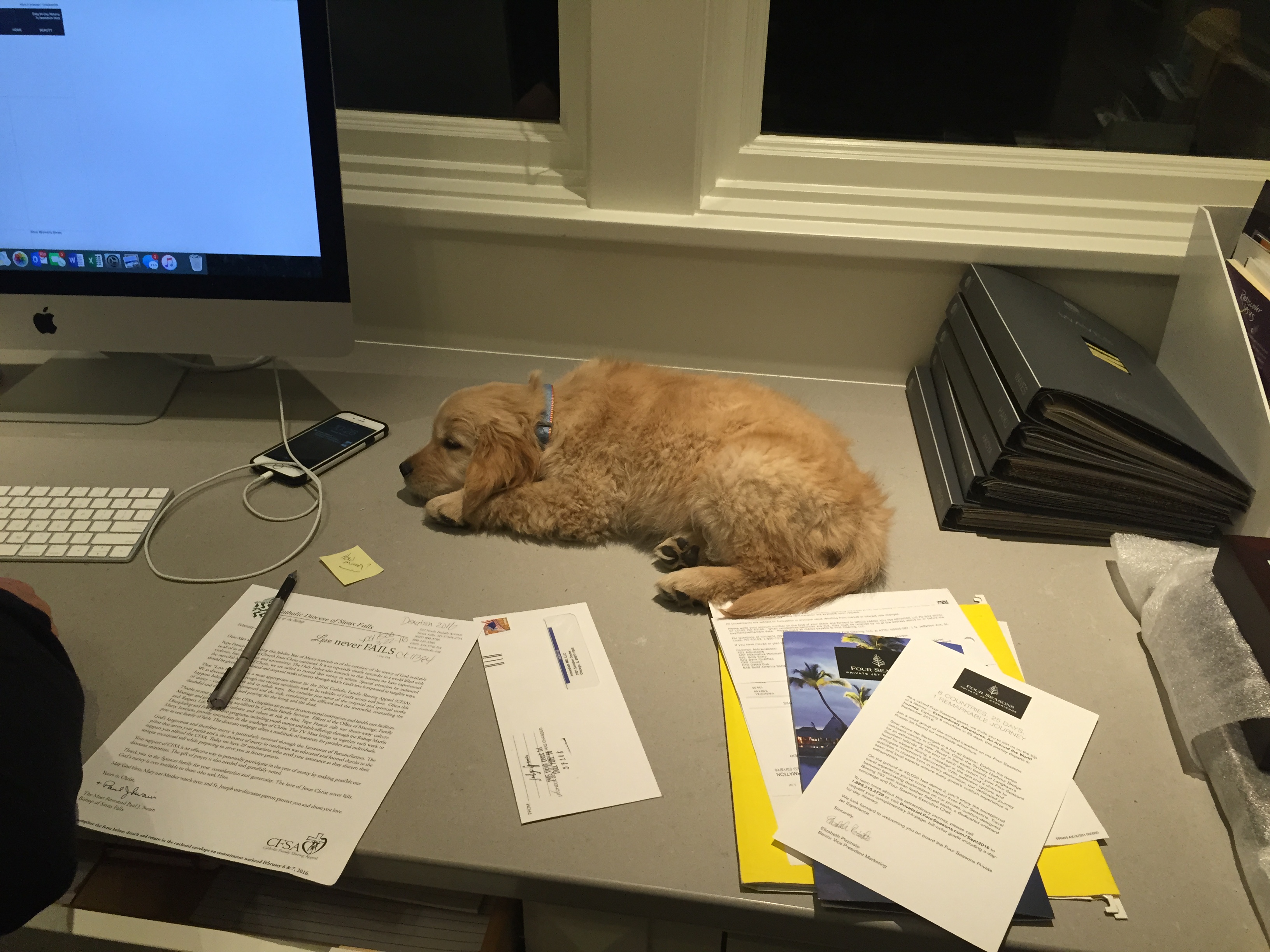 Wrigley the work assistant