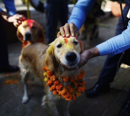 There is a festival in Nepal dedicated solely to thanking dogs for their loyalty and friendship