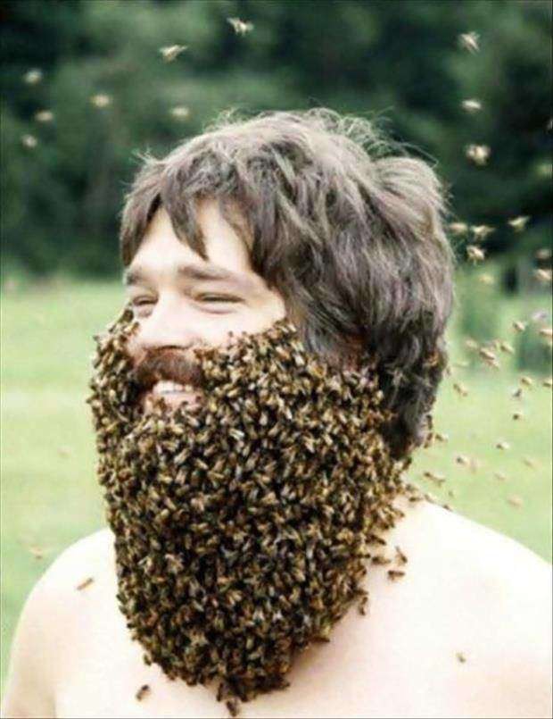 funny beekeeper