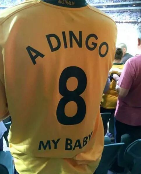 dingo ate my baby meme - Australia Dingo My Bab