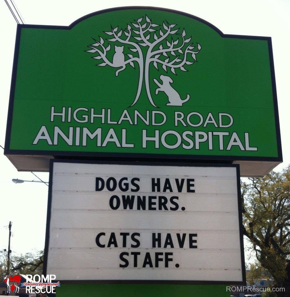 funny vet signs - Highland Road Animal Hospital Dogs Have Owners. Cats Have Staff. Amd lalian Greyhound Drescue ROMPRescue.com