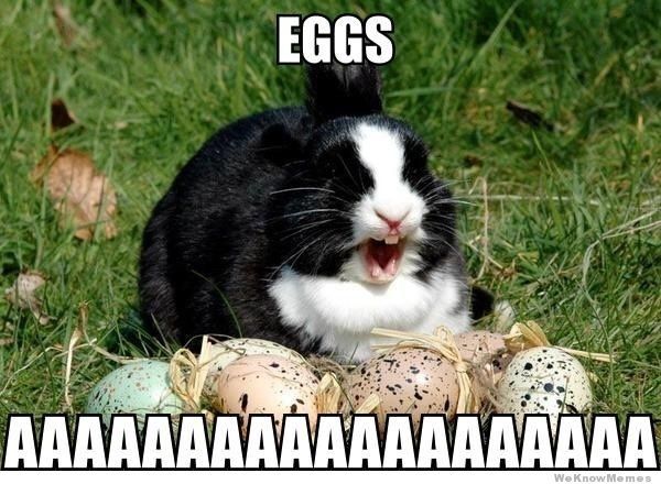 random pic easter meme