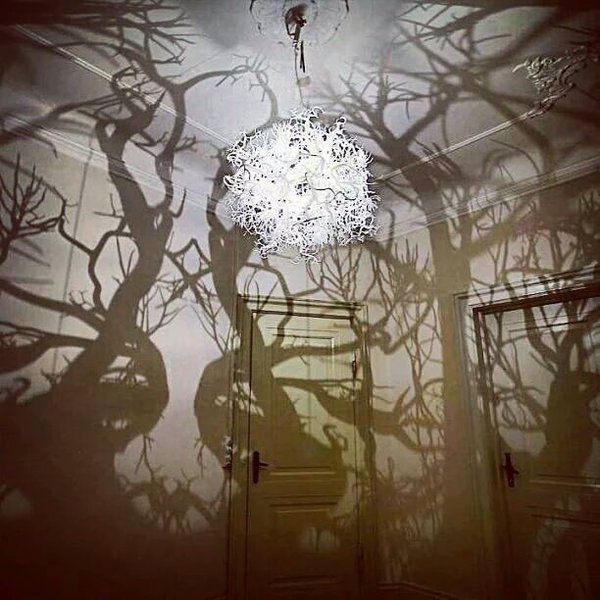 tree shadow chandelier