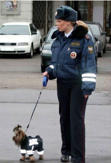 russian police dog