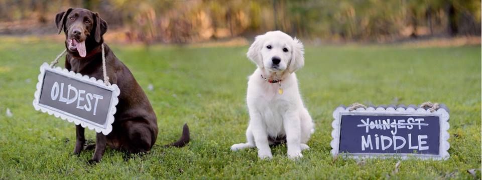 obedience trial - Oldest YouNGEST Middle