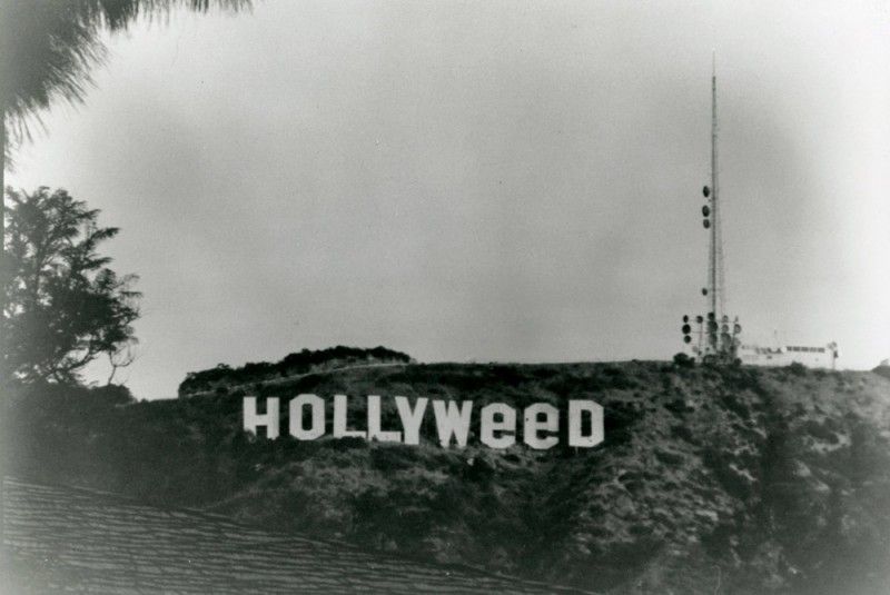 hollywood sign - HOLLYWeed