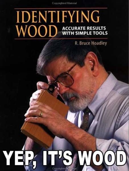 random pic yep it's wood - Copyrighted Matinal Identifying Accurate Results With Simple Tools R. Bruce Hoadley Yep, It'S Wood Goping to