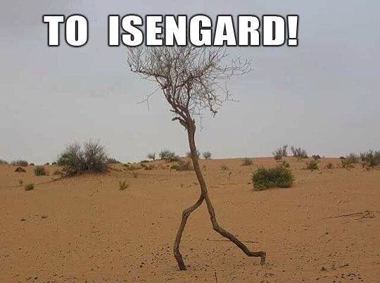 run forest run - To Isengard!