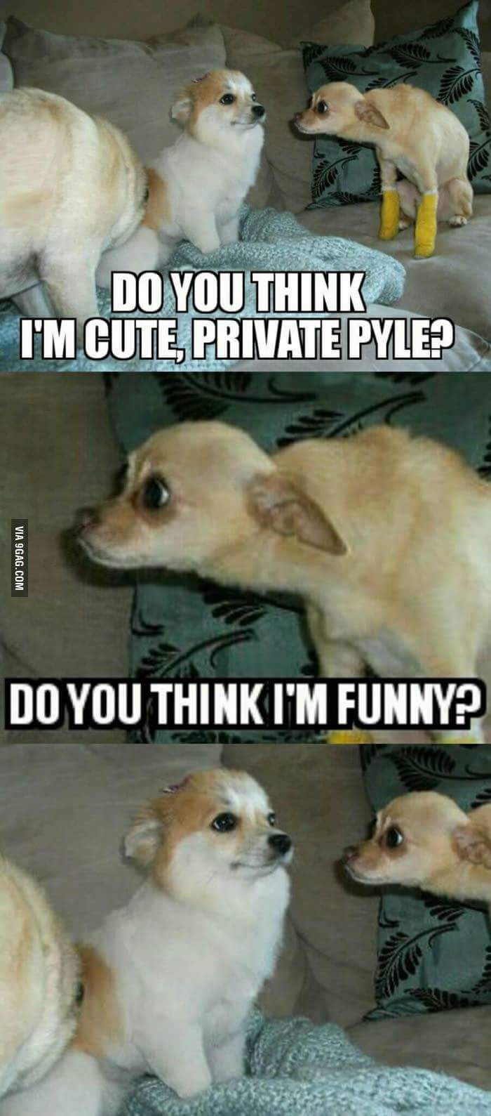 random pic me trying to avoid eye contact - Do You Think I'M Cute, Private Pyle? Via 9GAG.Com Do You Think I'M Funny?