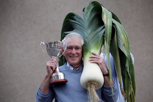 random pic biggest leek in the world