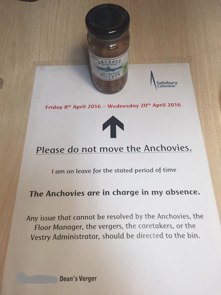 random pic Anchovy Silles Salisbury Cathedral Friday 8th Wednesday 20th Please do not move the Anchovies. I am on leave for the stated period of time The Anchovies are in charge in my absence. Any issue that cannot be resolved by the Anchovies, the Floor 