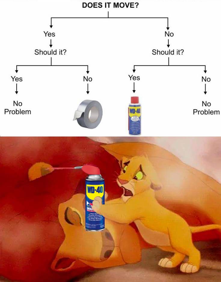 random pic wd40 lion king - Does It Move? Yes No Should it? Should it? Yes Yes No No No Problem Problem