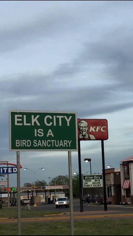 elk city bird sanctuary - Elk City Is A Bird Sanctuary Kfc Ited drive thru There Back 205 Dollar Family Fillup