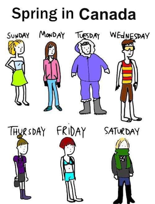 canada weather funny - Spring in Canada Sunday Monday Tuesday Wednesday Thursday Friday Saturday